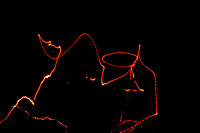 Abstracts